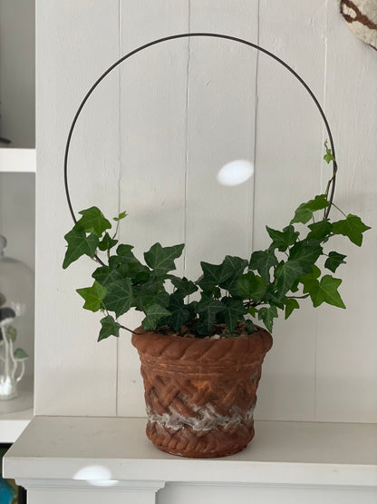 Wire Topiary Trainer