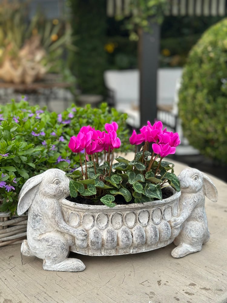 Twin Bunny Garden Planter