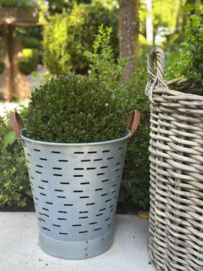 Turkish Olive Bucket