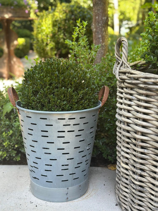 Turkish Olive Bucket