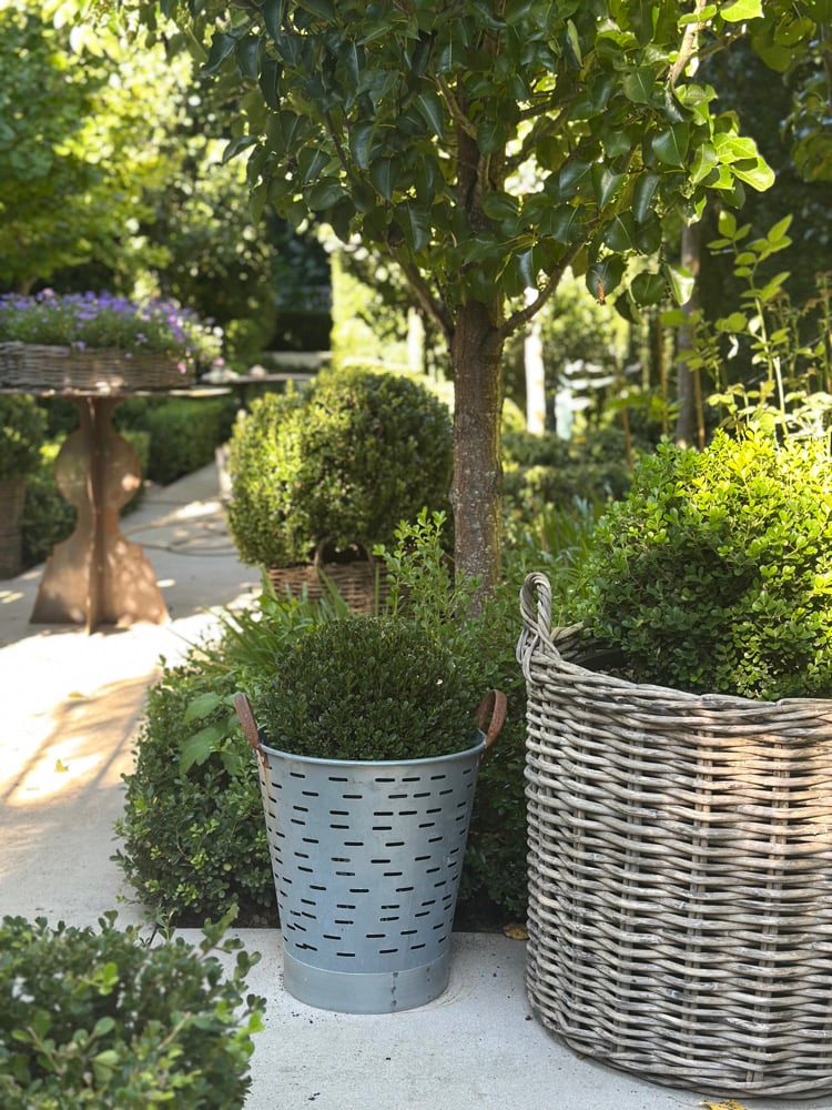 Turkish Olive Bucket