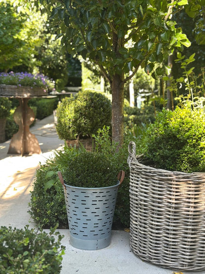 Turkish Olive Bucket