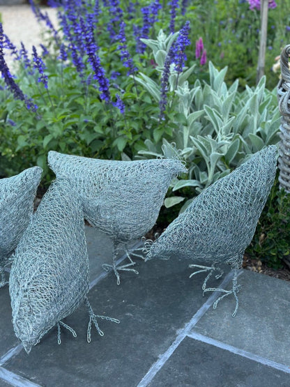 Wire Chicken Sculpture