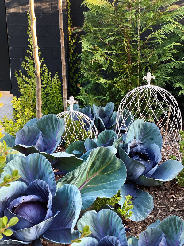 Fleur de lis metal garden cloche - HAROLDS